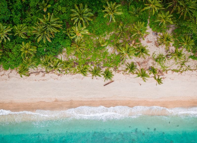 Nouveau Traitement RCH 2023