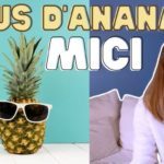 us-ananas-MICI-bromelaine-remede-inflammation-intestinale